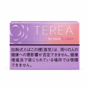 TEREA Fusion Menthol Japan carton on white background