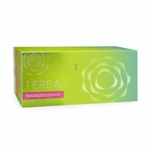 TEREA Green Zing Kazakhstan carton on white background