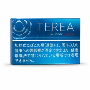 TEREA Rich Regular Japan carton on white background