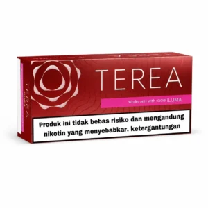 TEREA Sienna Indonesia carton on white background