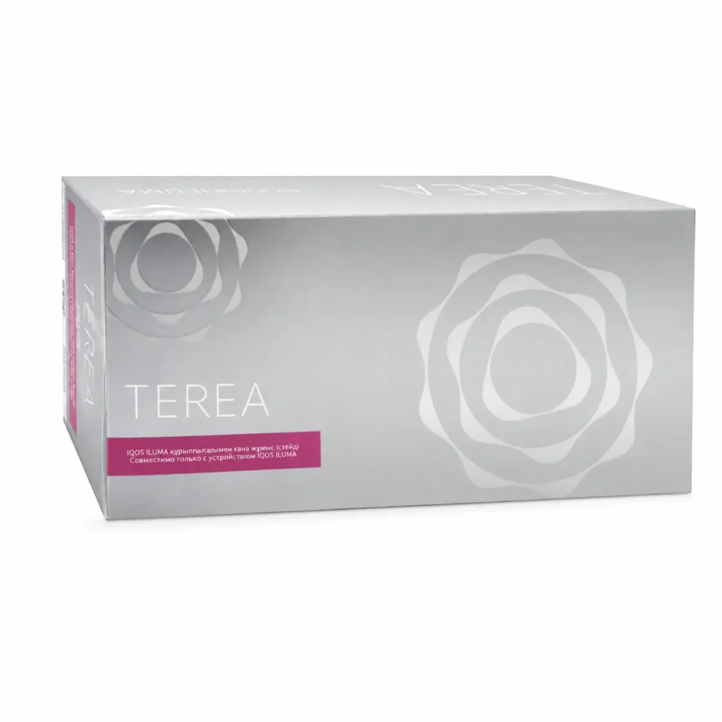 TEREA Silver Kazakhstan carton on white background